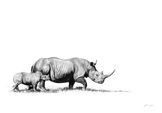 Rhino Pencil Sketch Art by South African Artist Vincent Reid