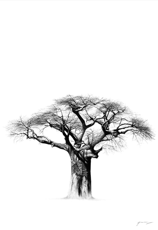 South African Limited Editions by Vincent Reid - Chobe Sentinel Baobab Tree - Vertical - Fine Art Portfolio