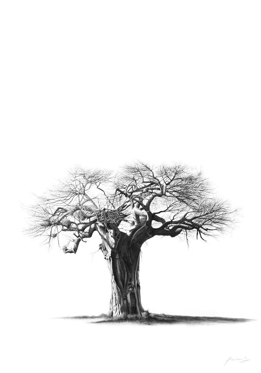 South African Limited Editions by Vincent Reid - Makhadzi Baobab Tree - Vertical - Fine Art Portfolio