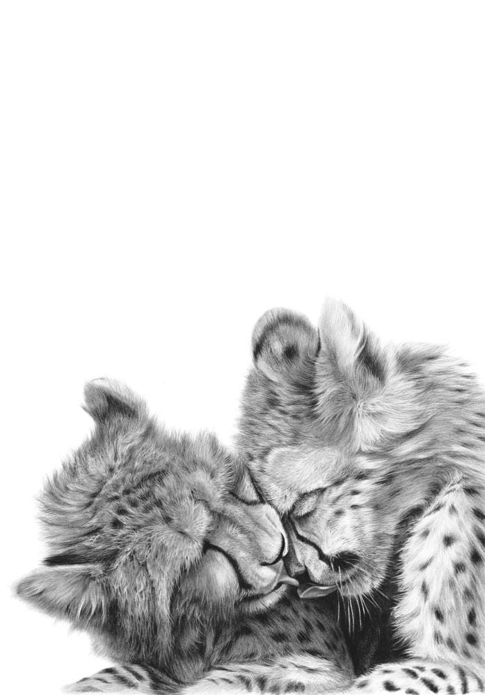 Lean on Me | Cheetah Cubs