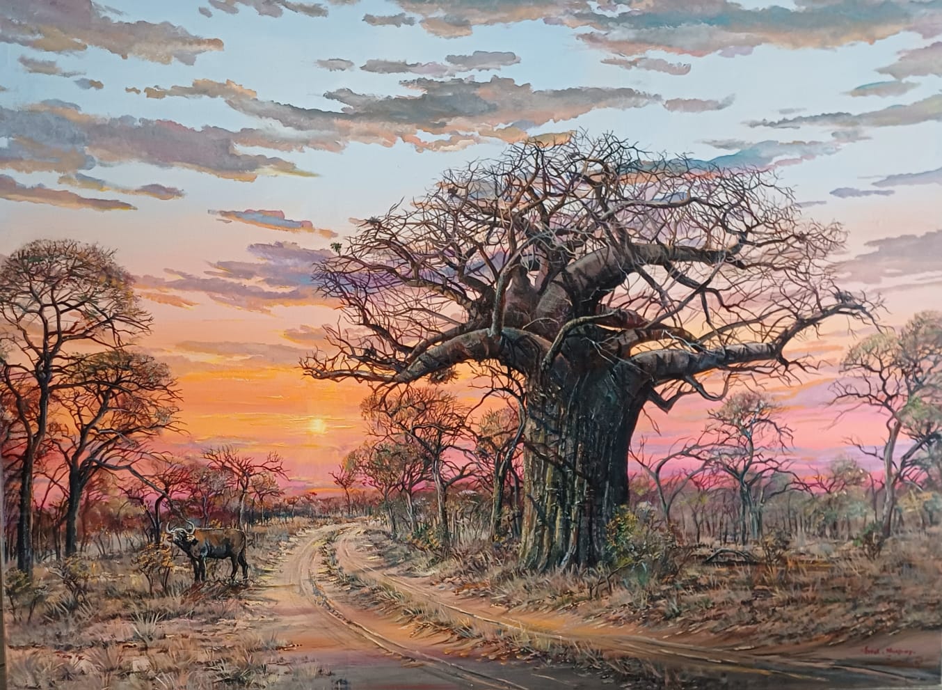 Buffalo and Baobab