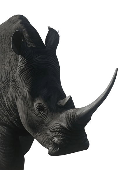 The Powerful One | Rhino