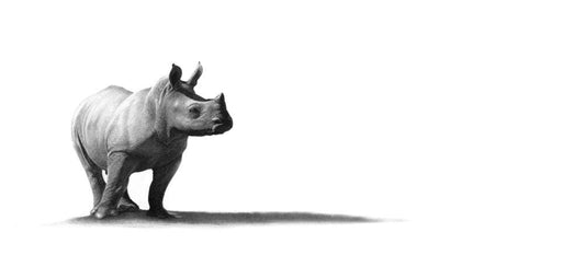 Fuphi | Rhino