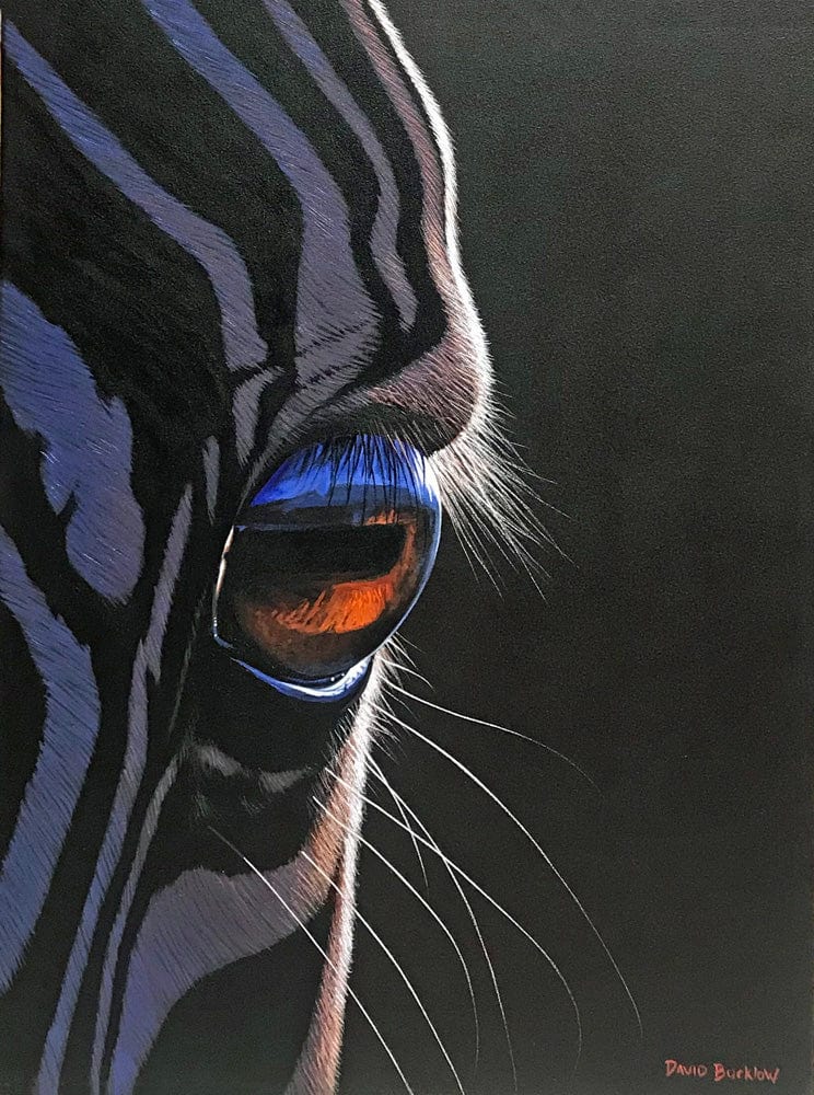 The Eye of Wisdom | Zebra