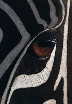 The Eye of Zig Zag