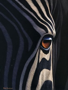 The Eye of Zedric