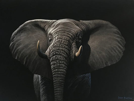 Heffalump  |  Elephant