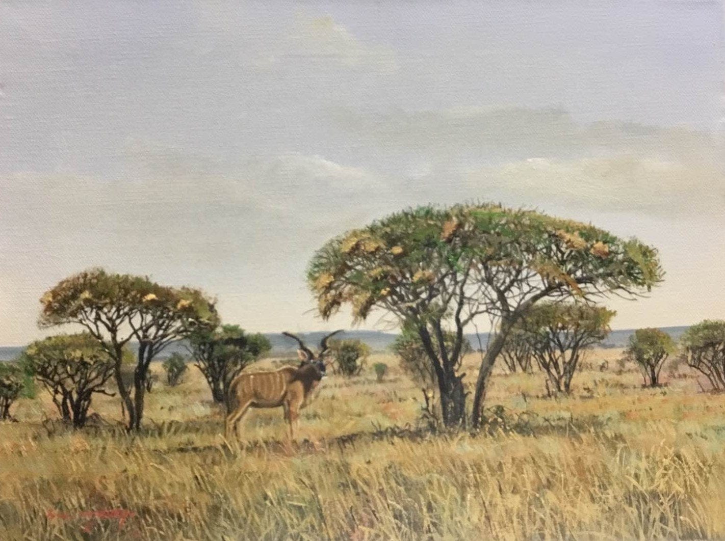 Kudu in the Bushveld