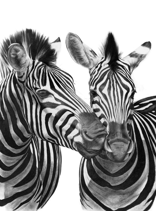 Kiss and Tell | Zebras