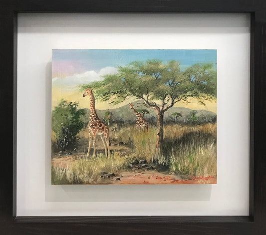 Giraffes under the Acacia Tree