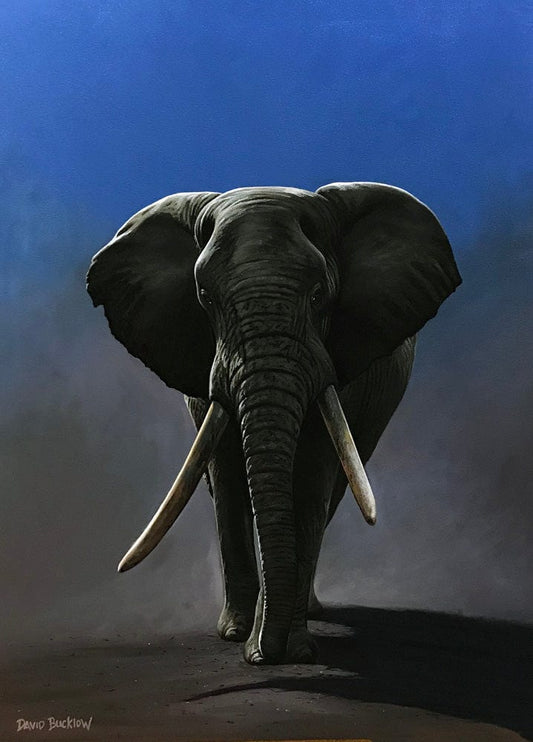 Groot the Elephant | Elephant