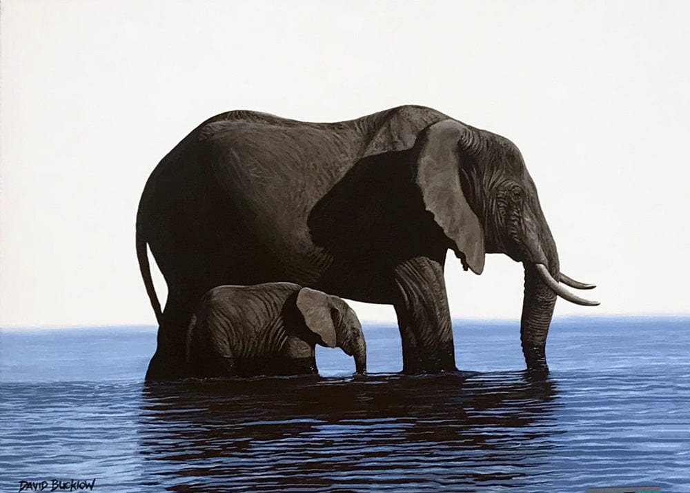 Mama and Hiccup | Elephants