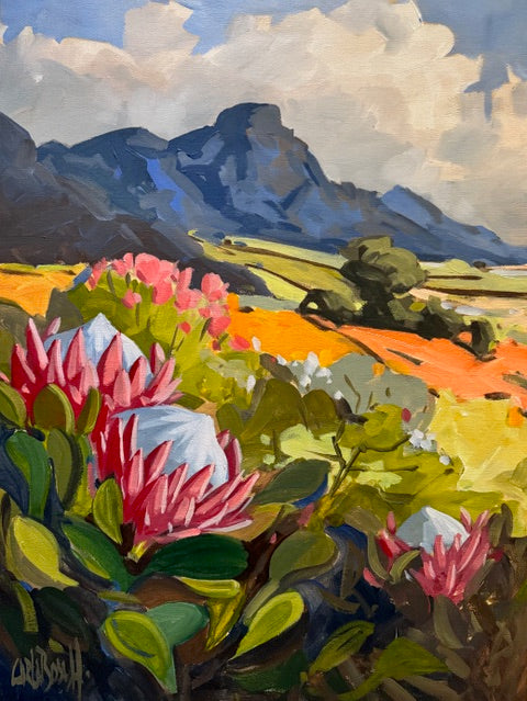 Proteas Before the Mountain