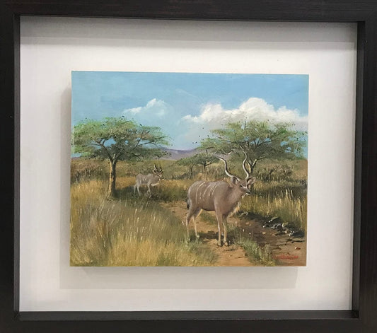 Kudu in the Fields