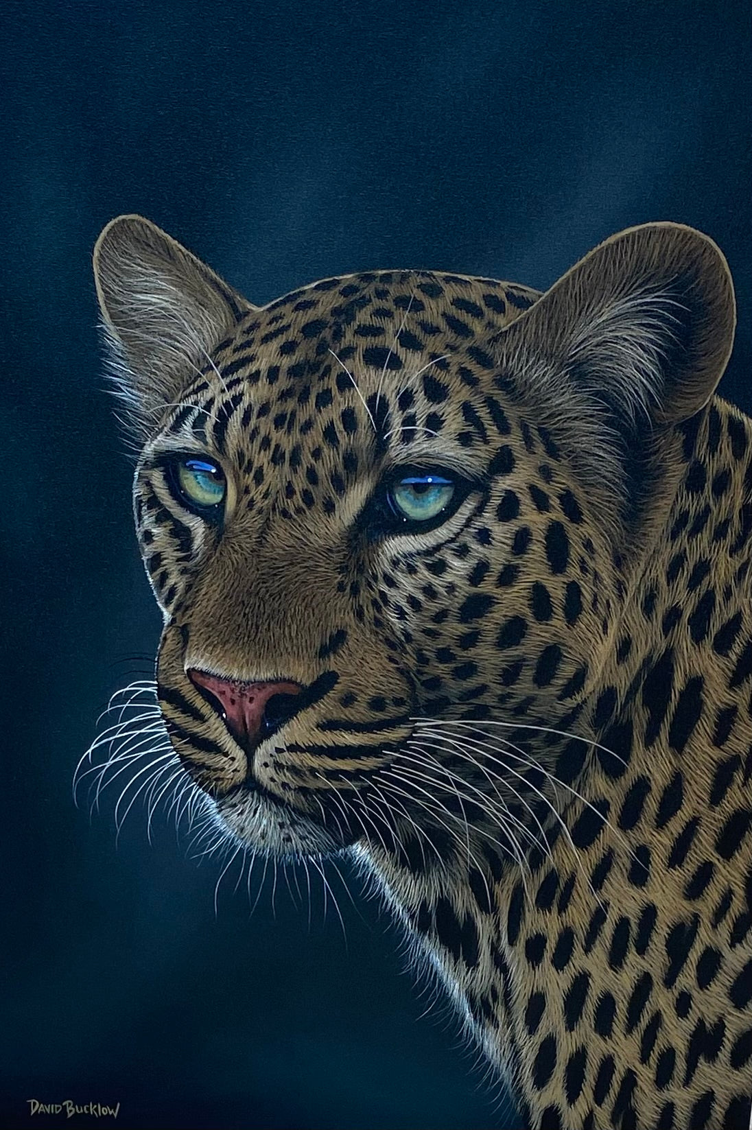 David Bucklow – Fine Art Portfolio