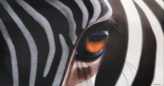 The Zebra Eye